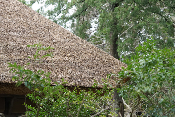 英彦山財蔵坊-茅葺の屋根